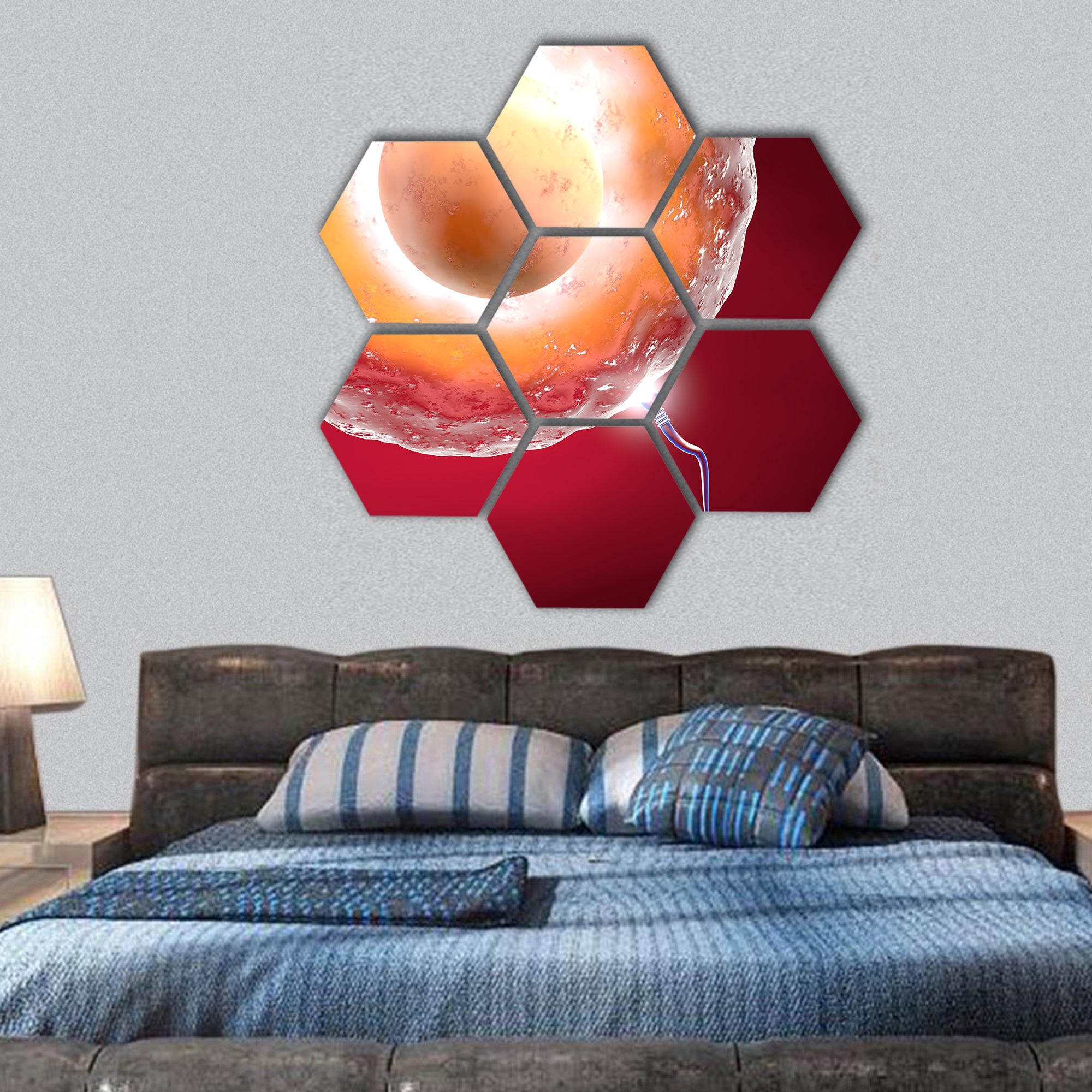 Conception ovum and sperm hexagonal canvas wall art