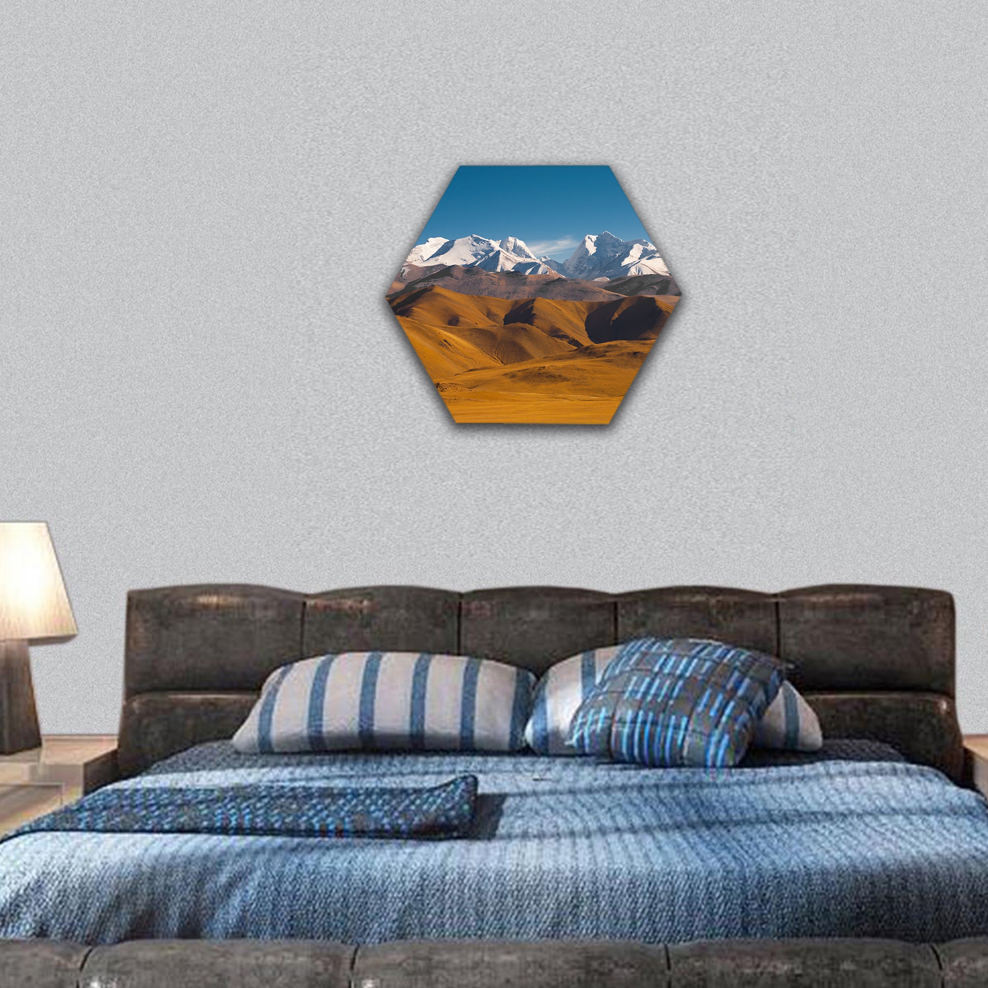 Peaks of the Himalayas poke hexagonal canvas wall art