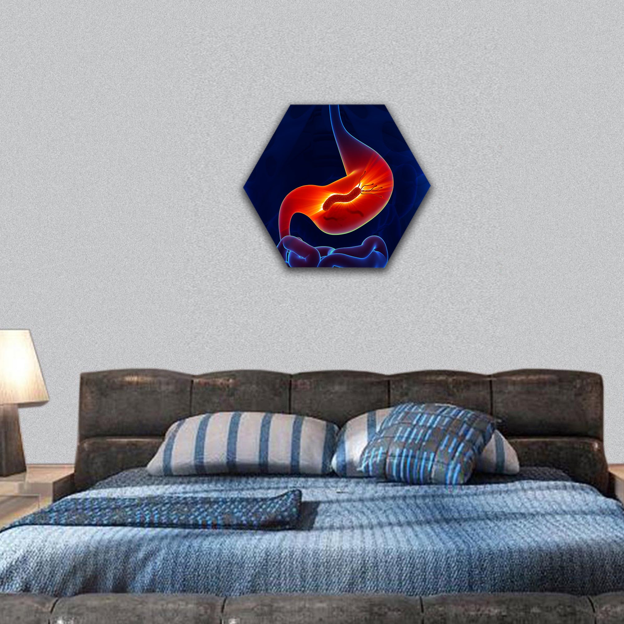 Helicobacter Pylori, Stomach hexagonal canvas wall art