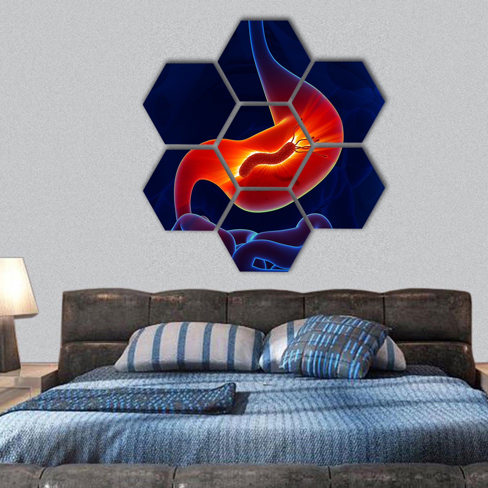 Helicobacter Pylori, Stomach hexagonal canvas wall art