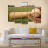 Baseball & Bat on the Field Multi panel canvas wall art