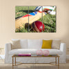 Cricket ball bat and gloves on the field Multi panel canvas Wall art