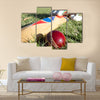 Cricket ball, bat and gloves on the field Multi panel canvas Wall art