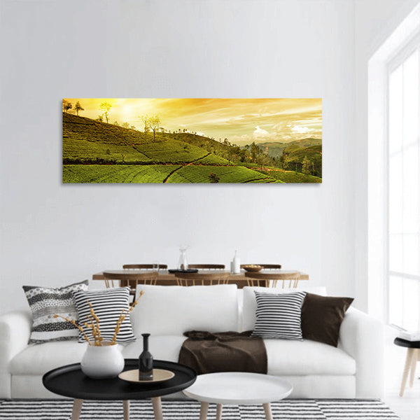 Tea plantation landscape panoramic canvas wall art