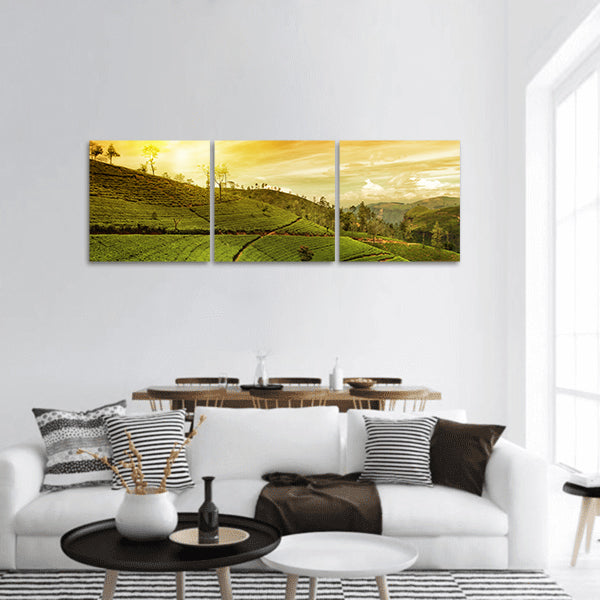 Tea plantation landscape panoramic canvas wall art