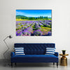 Lavender field in the summer in Tihany, Hungary Multi Panel Canvas Wall Art