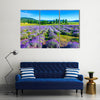 Lavender field in the summer in Tihany, Hungary Multi Panel Canvas Wall Art