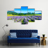 Lavender field in the summer in Tihany, Hungary Multi Panel Canvas Wall Art