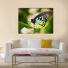 A beautiful male Cairns Birdwing Butterfly (Ornithoptera euphorion) Multi Panel Canvas Wall Art