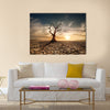 Lonely dead tree under dramatic evening sunset sky Multi panel canvas wall art