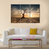 Lonely dead tree under dramatic evening sunset sky Multi panel canvas wall art