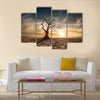 Lonely dead tree under dramatic evening sunset sky Multi panel canvas wall art