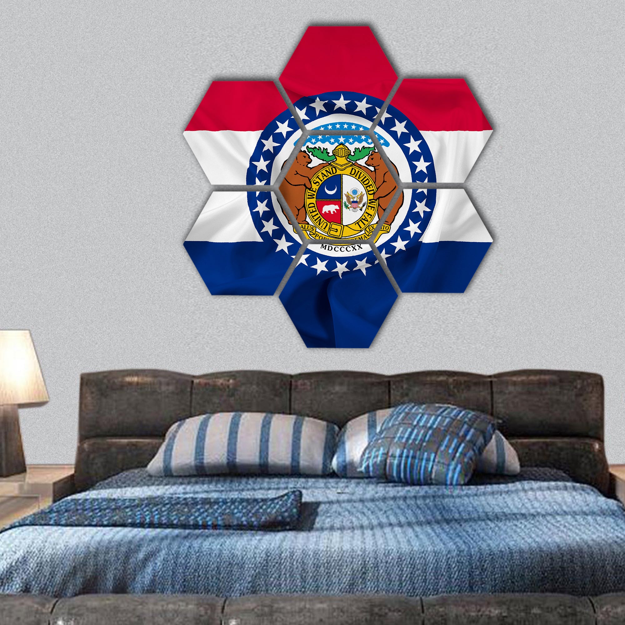 Waving Missouri State Flag hexagonal canvas wall art