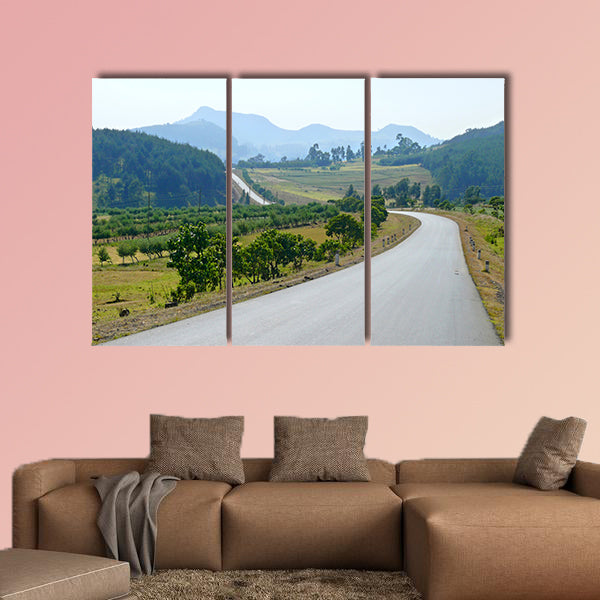 Africa, Ethiopia. Lonely road. Landscape nature around. Multi panel canvas wall art