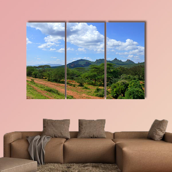 Forested mountains. Landscape nature. Africa, Ethiopia. Multi panel canvas wall art