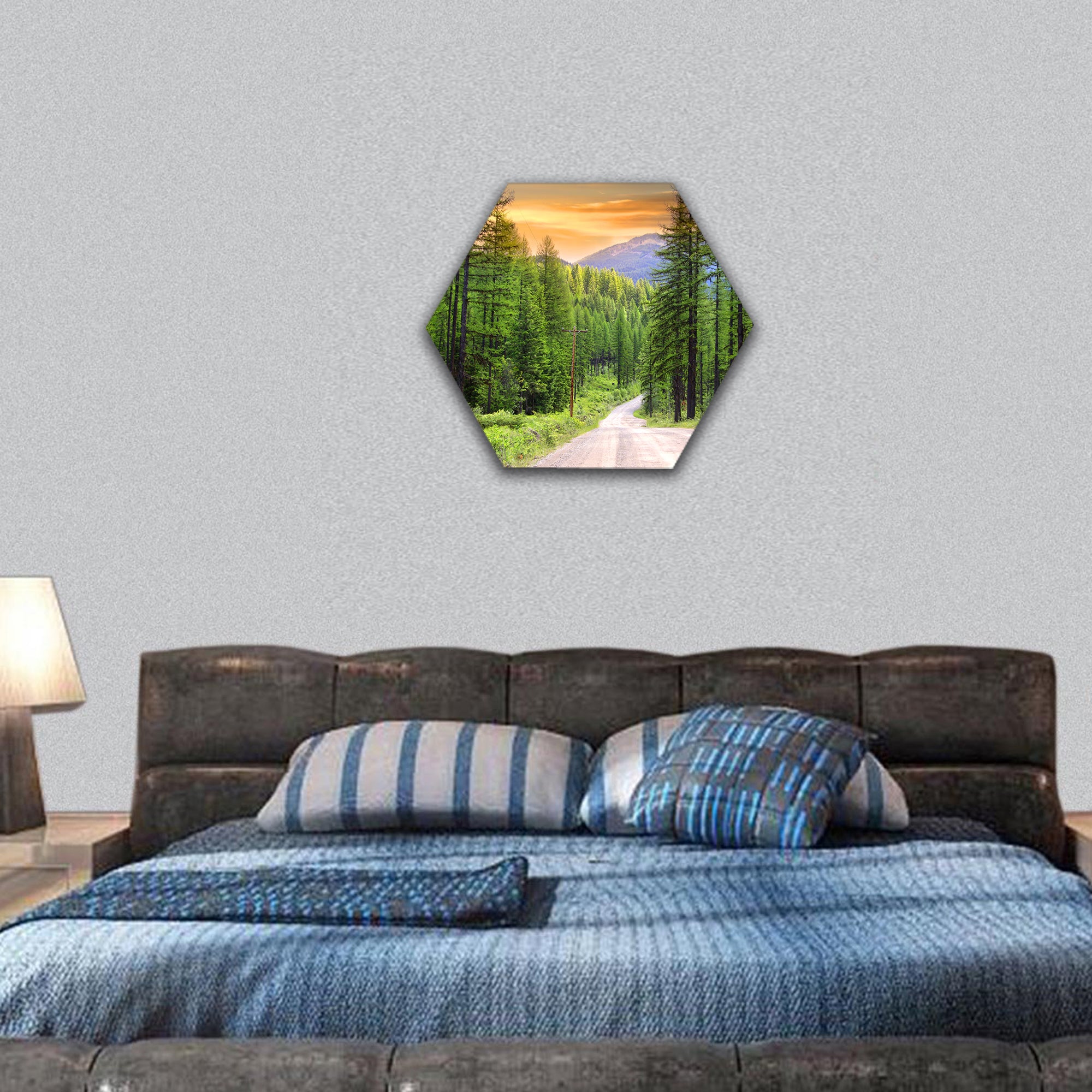 Scenic rural drive in Montana hexagonal canvas wall art