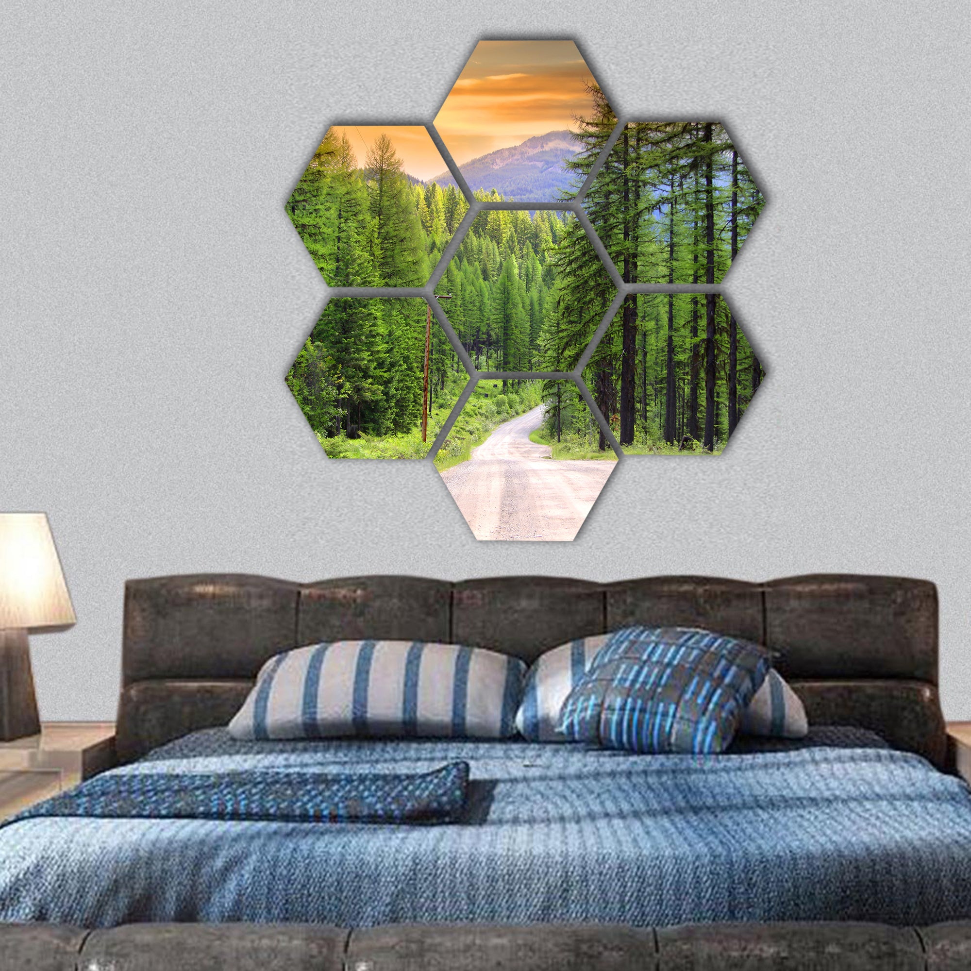 Scenic rural drive in Montana hexagonal canvas wall art