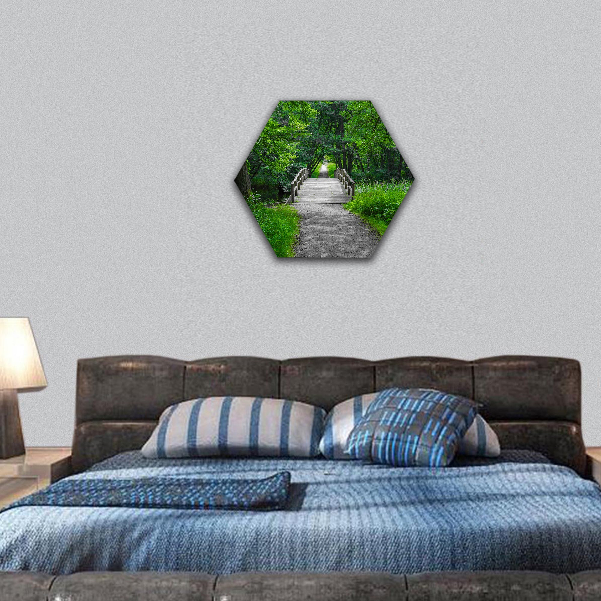 Old charming  wooden bridge over a creek in forest hexagonal canvas wall art
