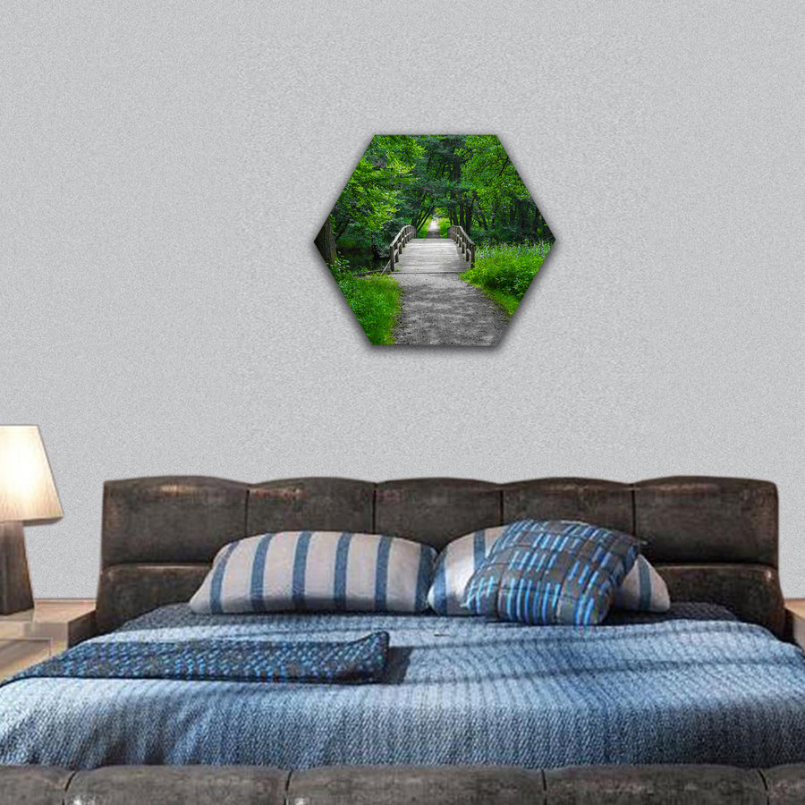 Old charming  wooden bridge over a creek in forest hexagonal canvas wall art
