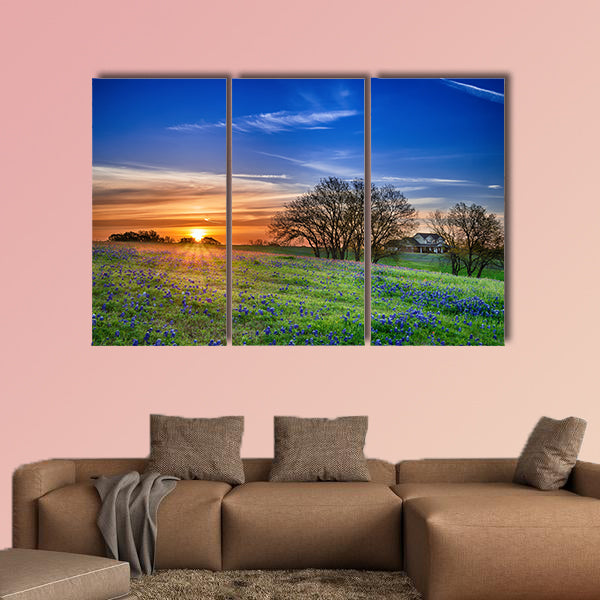 Texas bluebonnet spring wildflower field at sunrise Multi panel canvas wall art