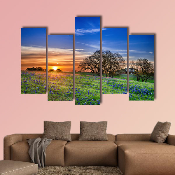 Texas bluebonnet spring wildflower field at sunrise Multi panel canvas wall art