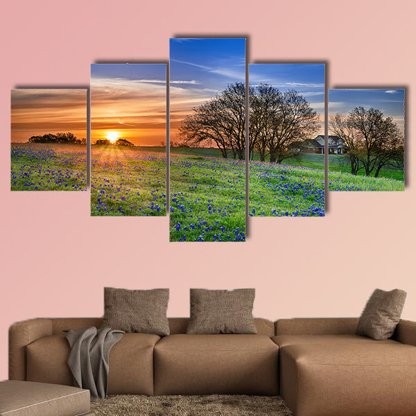 Texas bluebonnet spring wildflower field at sunrise Multi panel canvas wall art