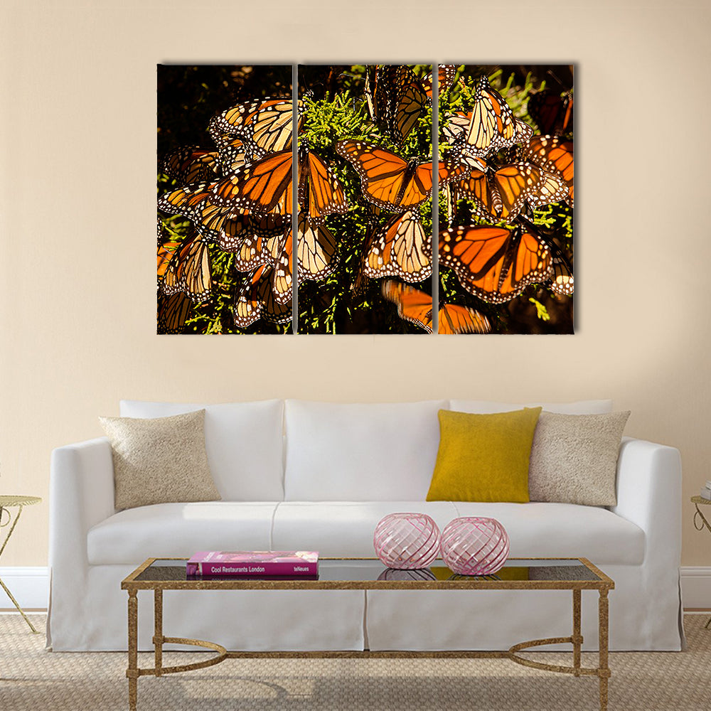Monarch Butterflies Multi Panel Canvas Wall Art