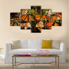 Monarch Butterflies Multi Panel Canvas Wall Art