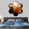 Basketball going through the basket hexagonal canvas wall art