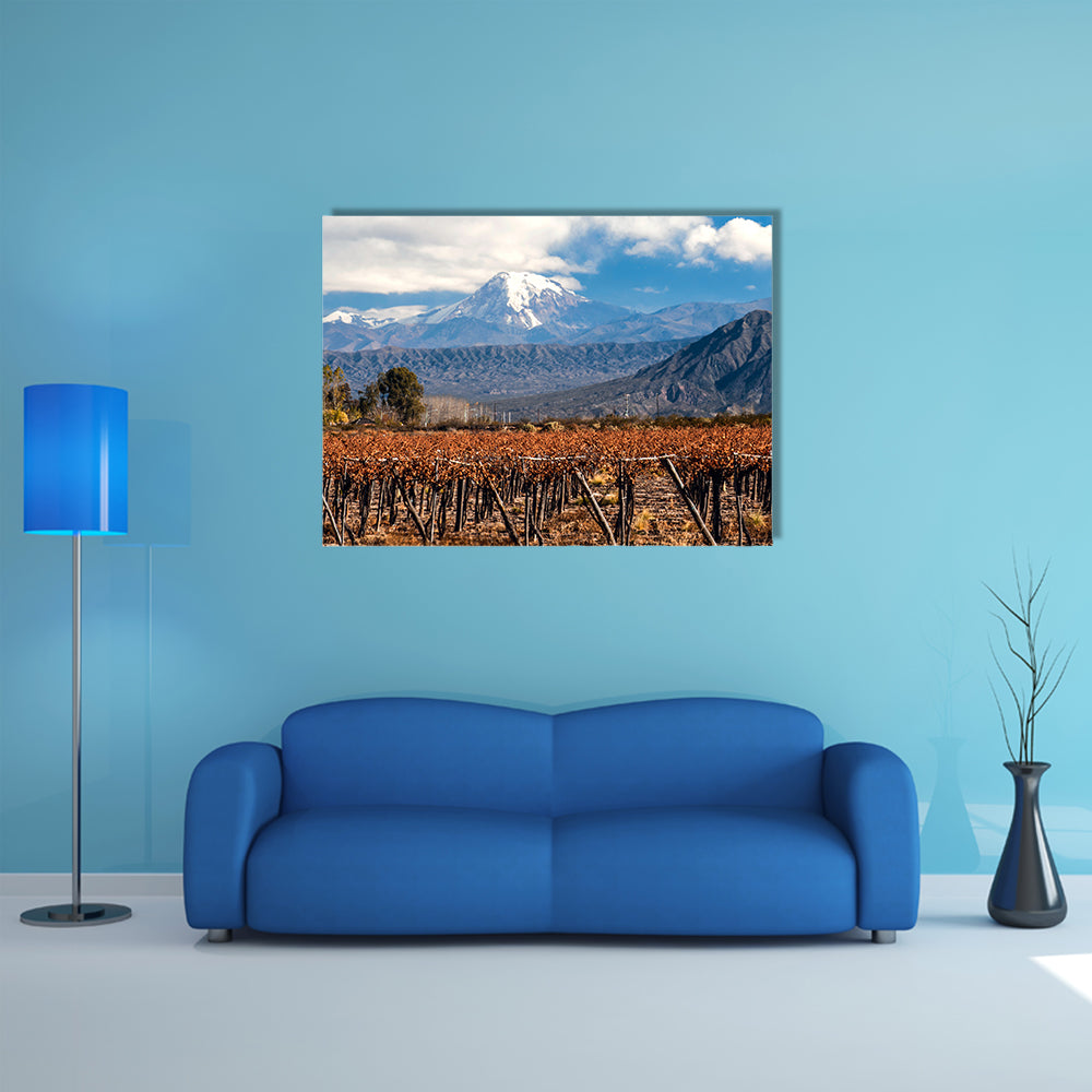 Volcano Aconcagua and Vineyard Multi panel canvas wall art
