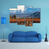 Volcano Aconcagua and Vineyard Multi panel canvas wall art