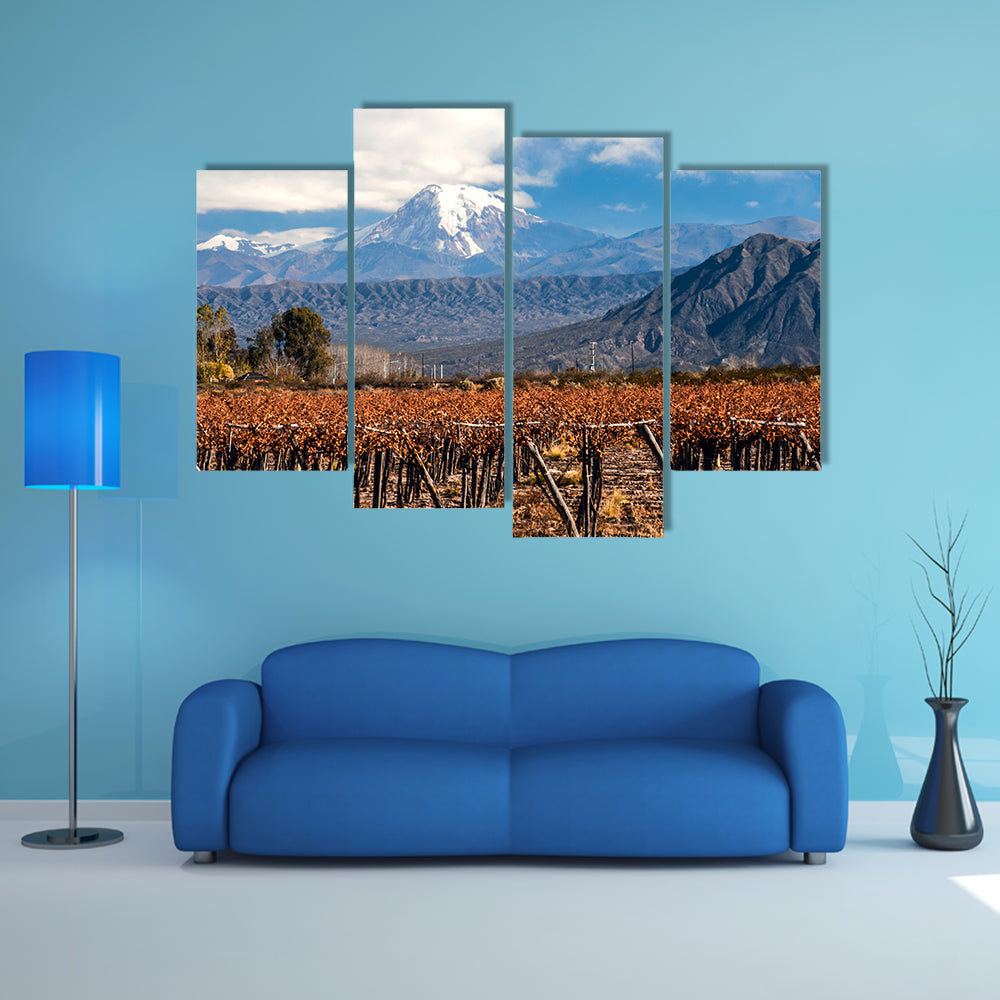 Volcano Aconcagua and Vineyard Multi panel canvas wall art