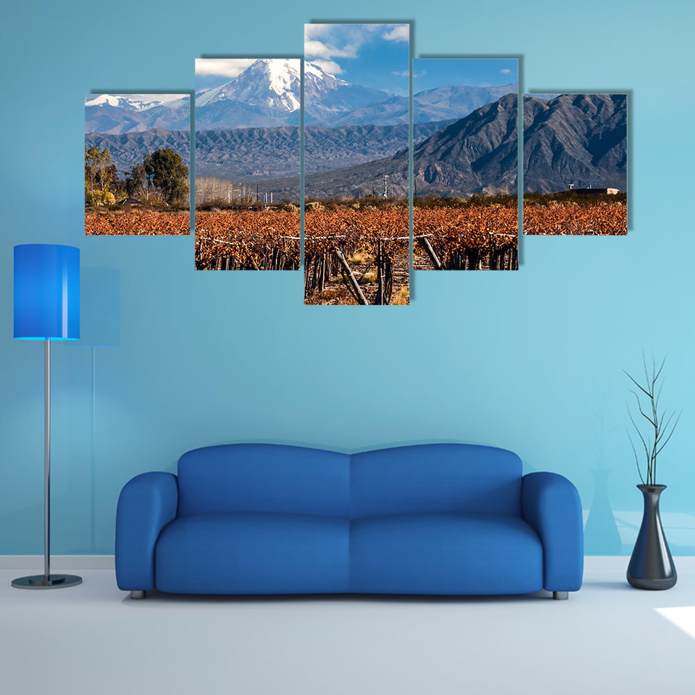 Volcano Aconcagua and Vineyard Multi panel canvas wall art