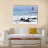 Pod of wild spinner dolphins Stenella longirostris in shallow bays near Bird Island, Seychelles Multi Panel Canvas Wall Art