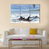 Pod of wild spinner dolphins Stenella longirostris in shallow bays near Bird Island, Seychelles Multi Panel Canvas Wall Art