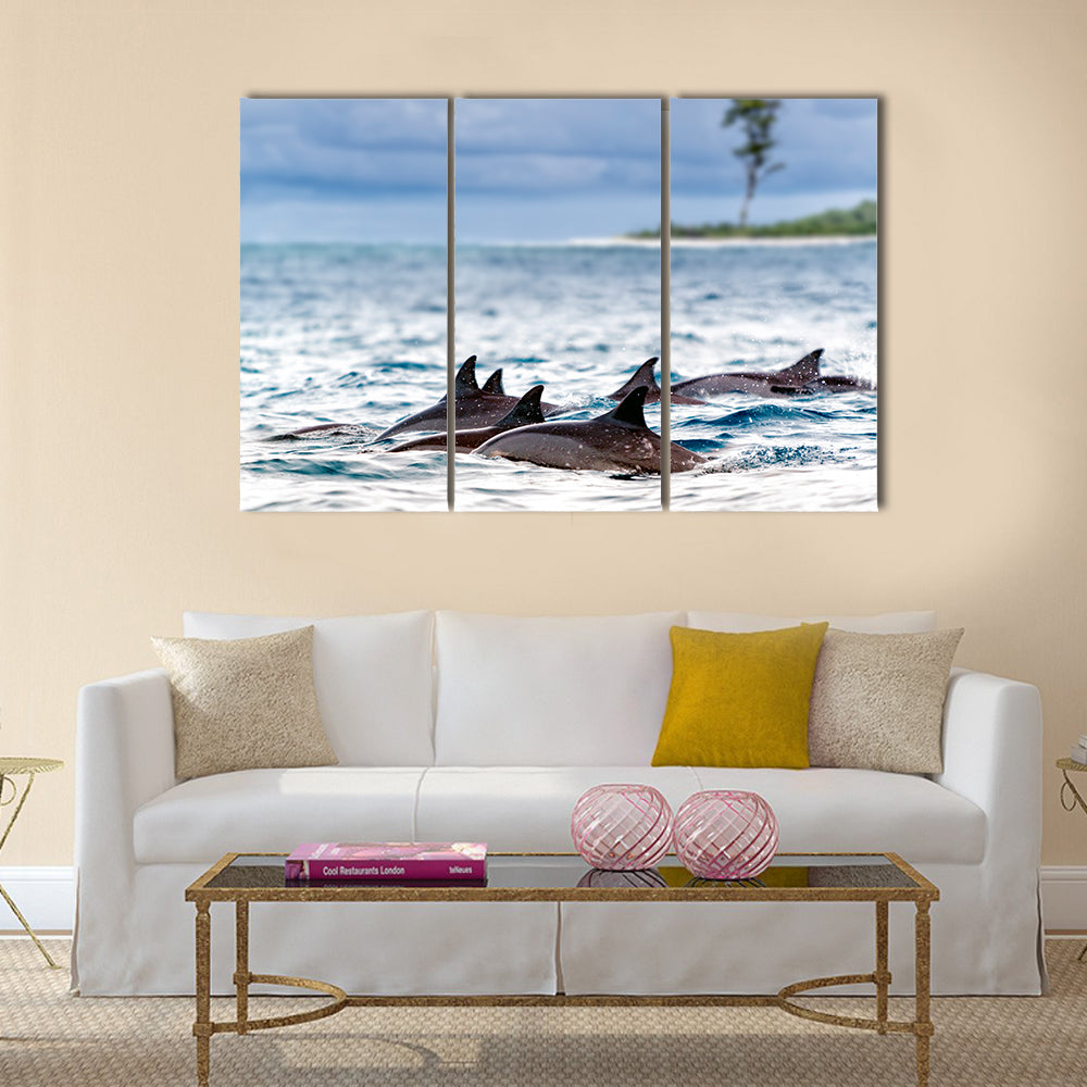 Pod of wild spinner dolphins Stenella longirostris in shallow bays near Bird Island, Seychelles Multi Panel Canvas Wall Art
