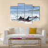 Pod of wild spinner dolphins Stenella longirostris in shallow bays near Bird Island, Seychelles Multi Panel Canvas Wall Art