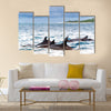 Pod of wild spinner dolphins Stenella longirostris in shallow bays near Bird Island, Seychelles Multi Panel Canvas Wall Art