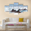 Pod of wild spinner dolphins Stenella longirostris in shallow bays near Bird Island, Seychelles Multi Panel Canvas Wall Art