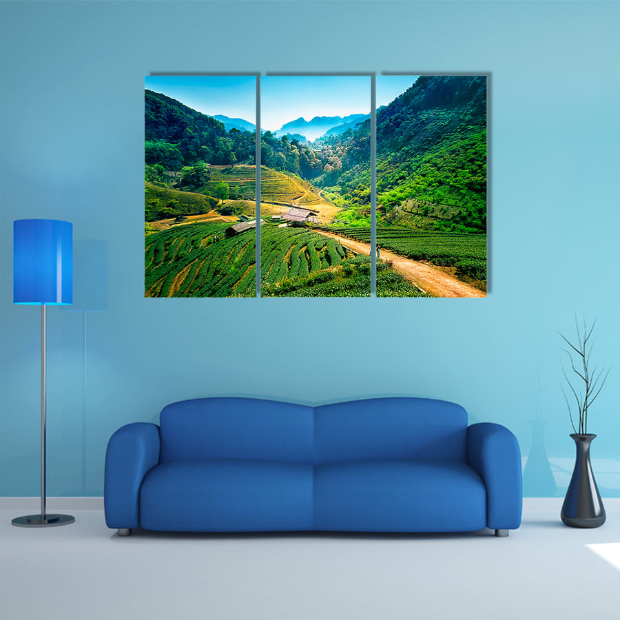 Tee-Plantagen auf Angkhang Berg, Chiang Mai, Thailand multi panel canvas wall art