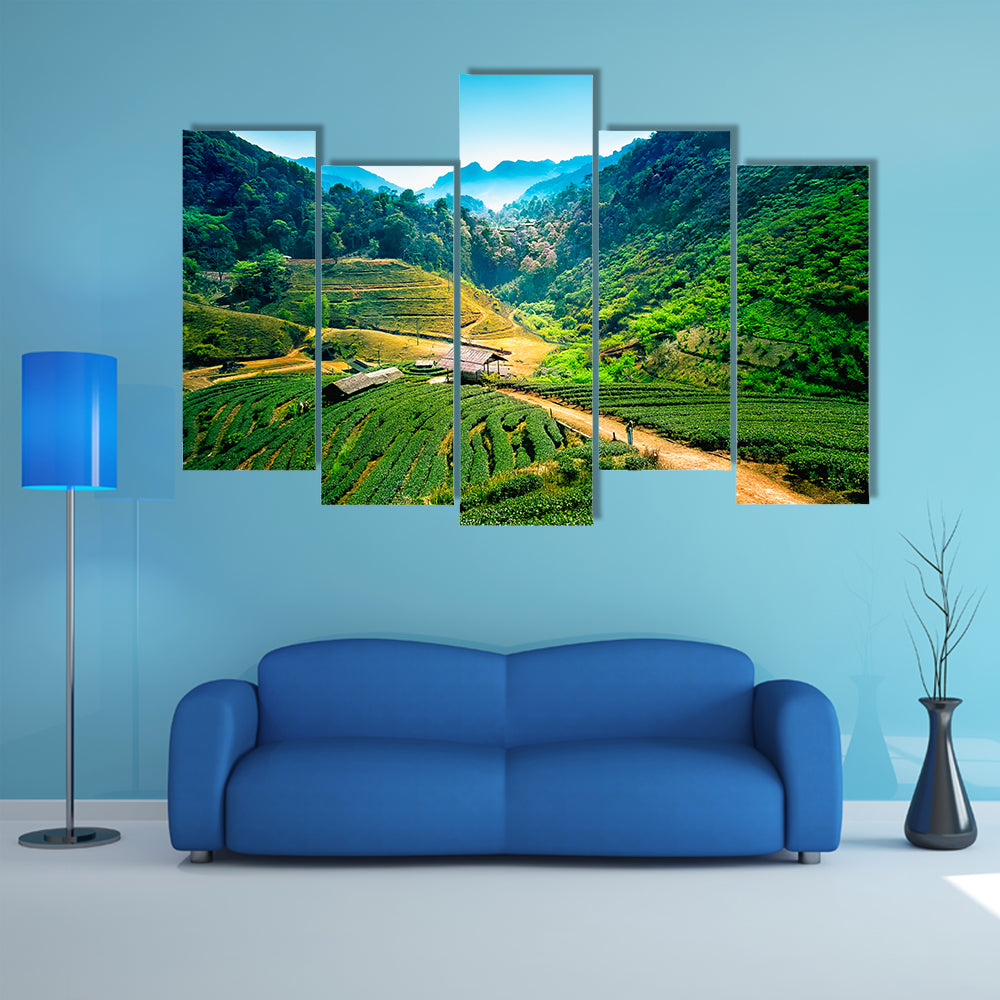 Tee-Plantagen auf Angkhang Berg, Chiang Mai, Thailand multi panel canvas wall art