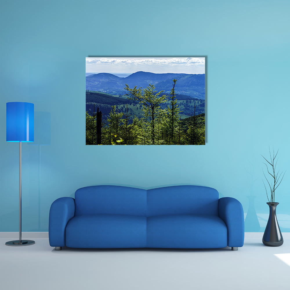 The Breisach bird-fly view from the hill, France Multi panel Canvas Wall Art