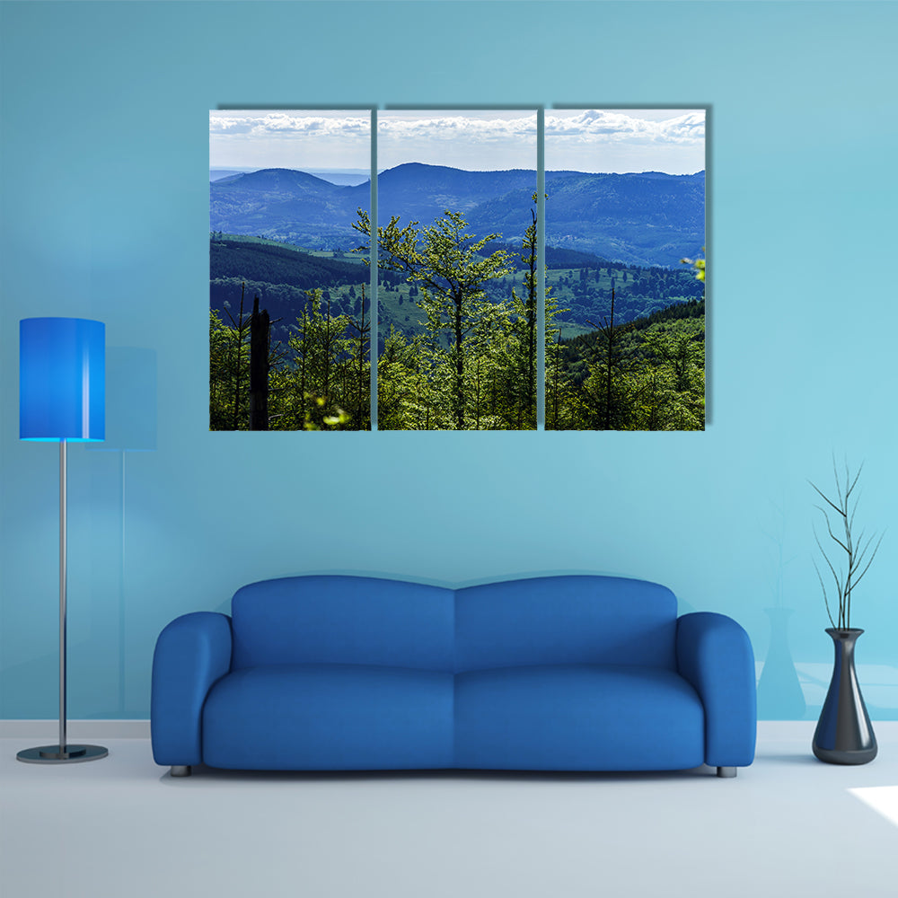 The Breisach bird-fly view from the hill, France Multi panel Canvas Wall Art