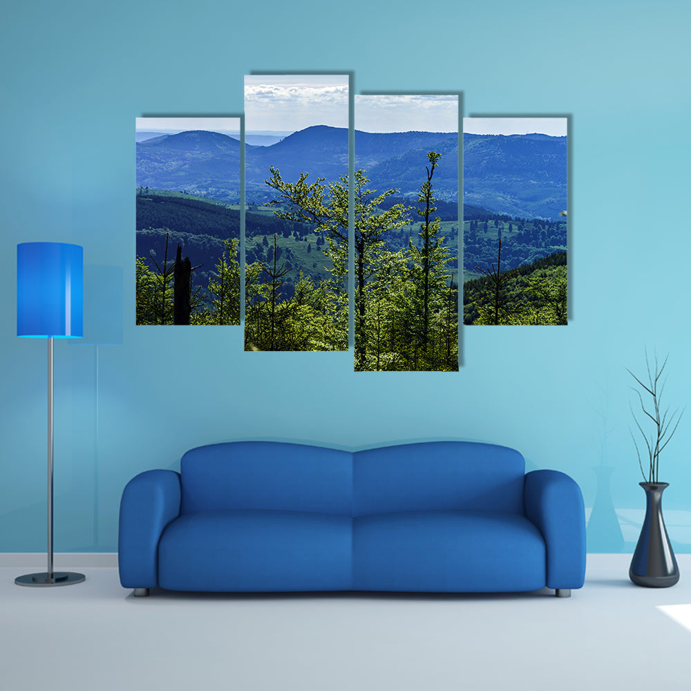 The Breisach bird-fly view from the hill, France Multi panel Canvas Wall Art