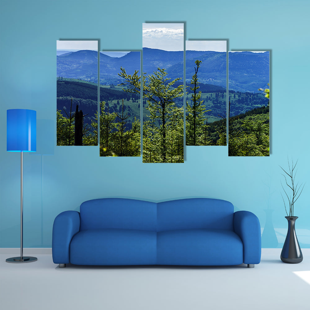 The Breisach bird-fly view from the hill, France Multi panel Canvas Wall Art