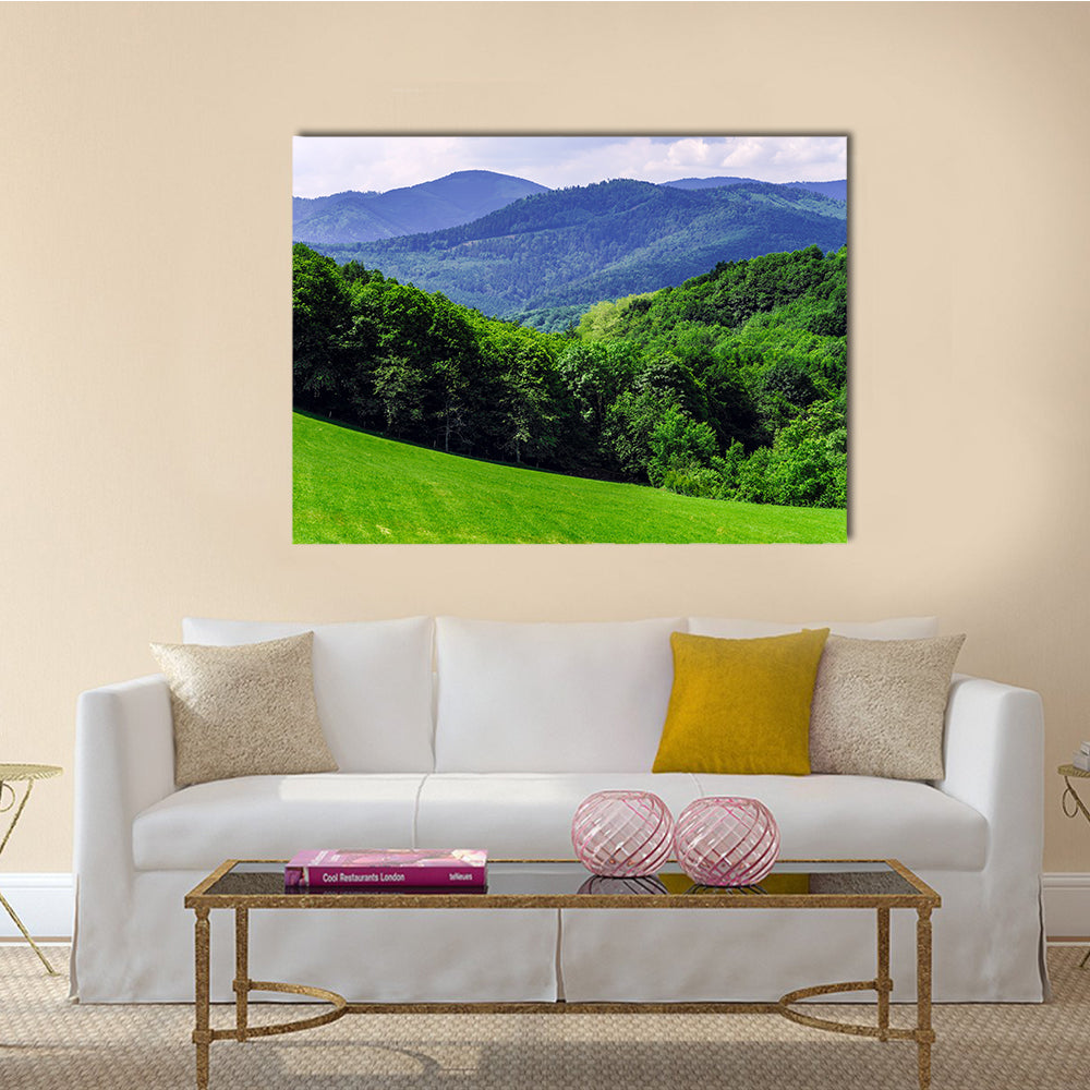 The Beautiful vivid green fields in Alsace, French mountains Multi Panel Canvas Wall Art