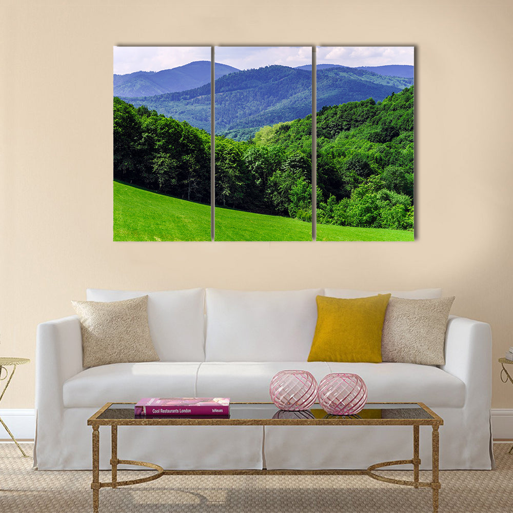 The Beautiful vivid green fields in Alsace, French mountains Multi Panel Canvas Wall Art