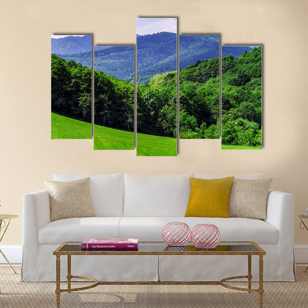 The Beautiful vivid green fields in Alsace, French mountains Multi Panel Canvas Wall Art