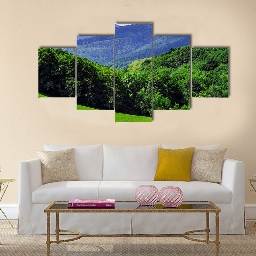 The Beautiful vivid green fields in Alsace, French mountains Multi Panel Canvas Wall Art