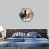 black stallion hexagonal canvas wall art